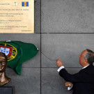 AFP_N333A.jpg