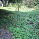 IMG_0015.JPG