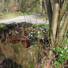 IMG_0106.JPG