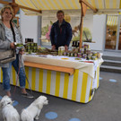 DSC_0040 - Kopie.JPG