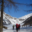 DSC08127 _1024x577_.jpg