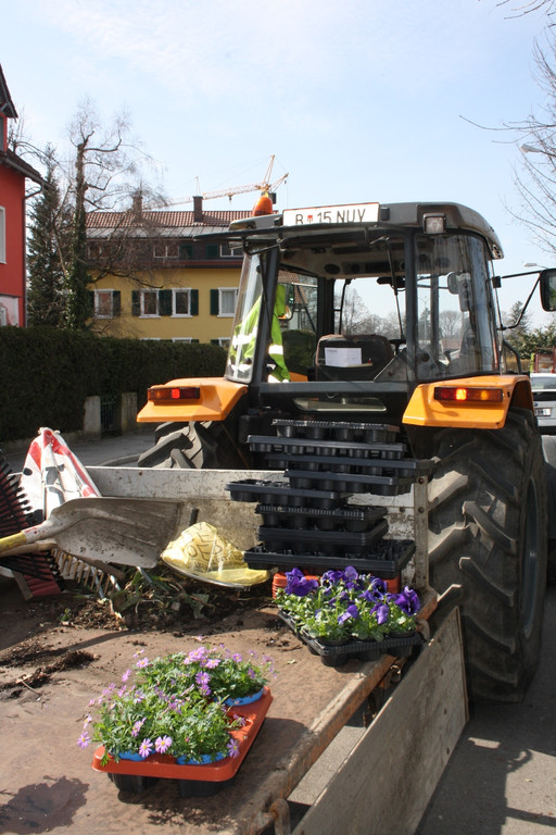 Fr__hling Z BEPFLANZUNG NEU 15-03-2017 _2_.JPG