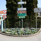 Fr__hling Z BEPFLANZUNG NEU 15-03-2017 _3_.JPG