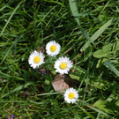 DSC_0046.JPG
