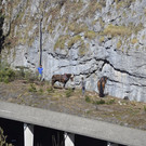 _DSC2015.jpg