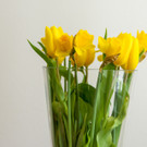 Klimt Villa - Opening 2017 - Klimt Villa Wien - 01_04_2017 _17 von 82_.jpg