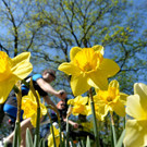 Frühling 2017 in Wien: Érste warme Tage in der Stadt