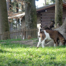 jahreshauptvers_FP__ 013.jpg