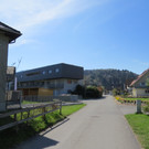 IMG_5919.JPG