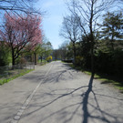 IMG_5773.JPG