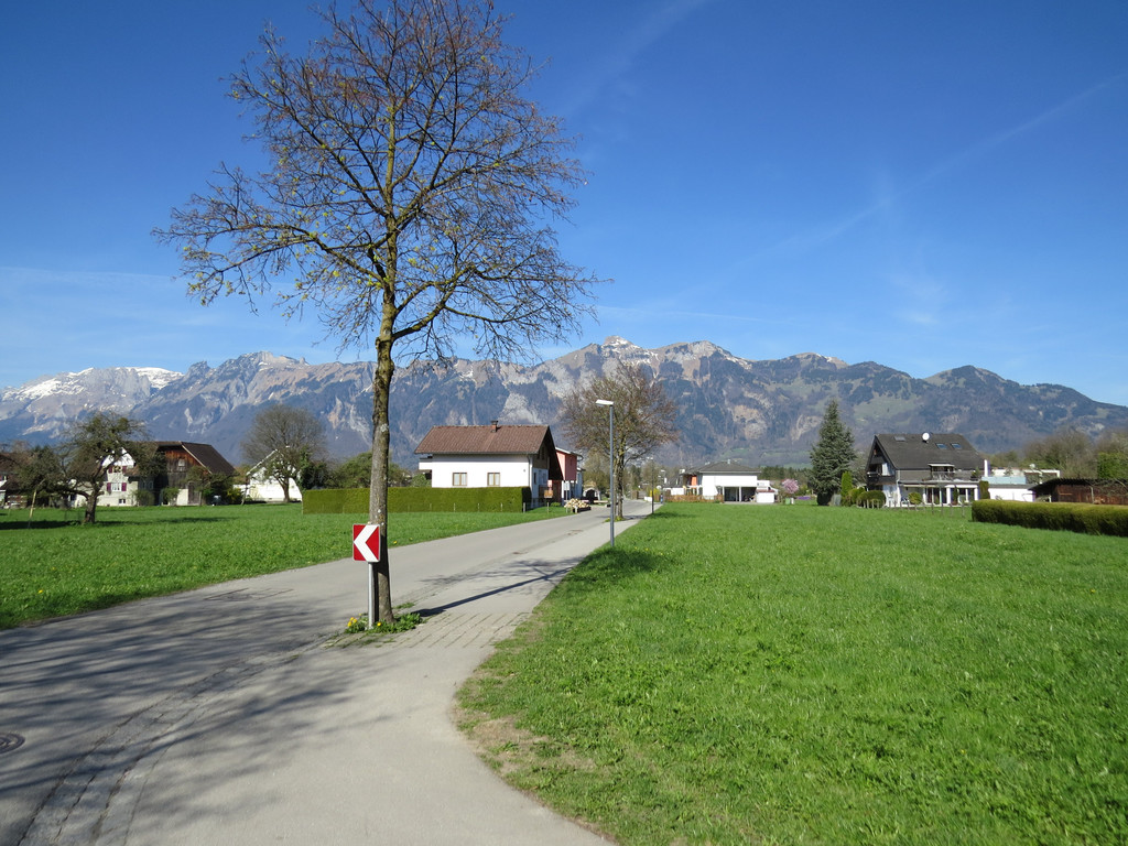 IMG_5774.JPG
