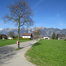 IMG_5774.JPG