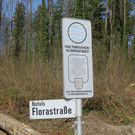 IMG_5881.JPG