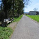 IMG_5895.JPG