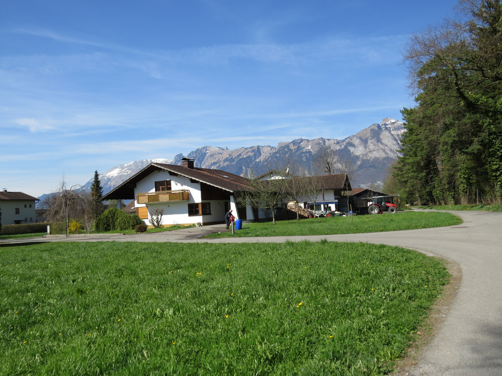 IMG_5904.JPG
