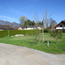 IMG_5831.JPG