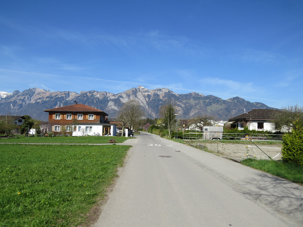 IMG_5835.JPG