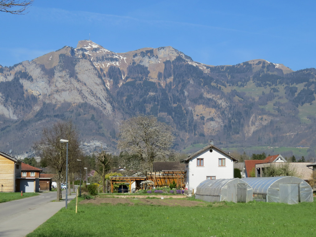 IMG_5782.JPG