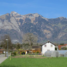 IMG_5782.JPG