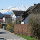 IMG_5841.JPG