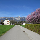 IMG_5847.JPG