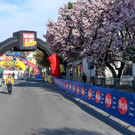 Bludenz läuft 2017