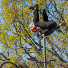 Argus Bike Festival - Wiener Rathausplatz - 01_04_2017 _106 von 137_.jpg