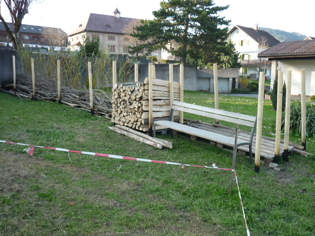 P1020220.JPG