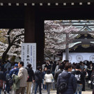 Japan-kirschbluete-fruehling  _12_.jpg