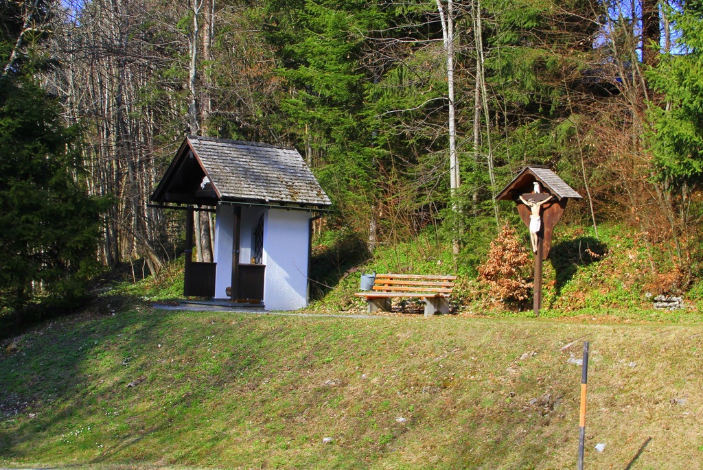 IMG_4708.JPG