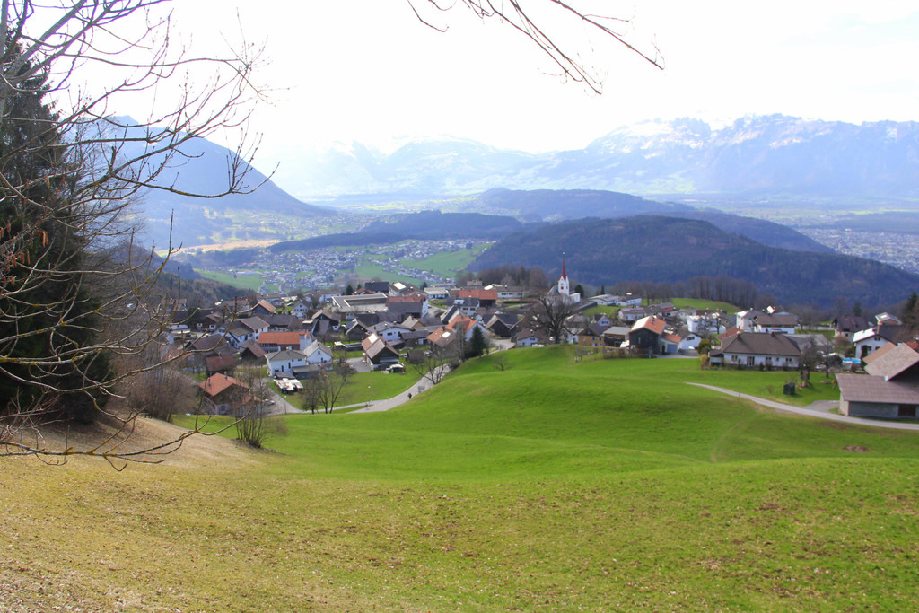 IMG_4726.JPG