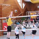 1000-IMG_7355 SMS Wolfurt in Aktion gegen Wien Volleyball Bundes 2017.jpg