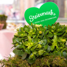 Er__ffnung 21_ Steiermark-Fr__hling  _66 von 119_.jpg