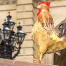 Er__ffnung 21_ Steiermark-Fr__hling  _76 von 119_.jpg