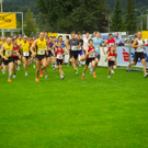 bea_rundlaufsatteins o1.jpg