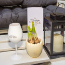 Pre-Opening der Schlumberger On Ice PopUp Bar - 06_04_2017 _81 von 79_.jpg