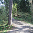 IMG_0081.JPG