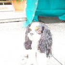 201016.jpg