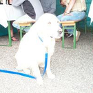 201017.jpg