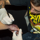 Wildstyle und Tatoo Messe  _53 von 61_.jpg