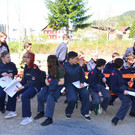fw 080417_13.JPG