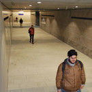 DSC_2446.JPG