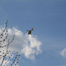 IMG_4357.JPG