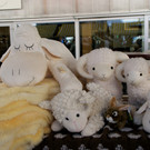 DSC00130.JPG