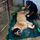 AFP_N23F8.jpg