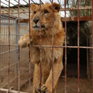 AFP_N23LW.jpg