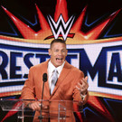 Wrestlemania_22449.jpg