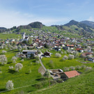 Kirschbl__te Fraxern 2017__c_kam _2_.JPG