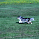 IMG_3623.JPG