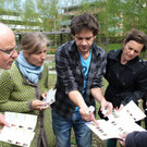 Wildbienen-Exkursion in Bludenz 